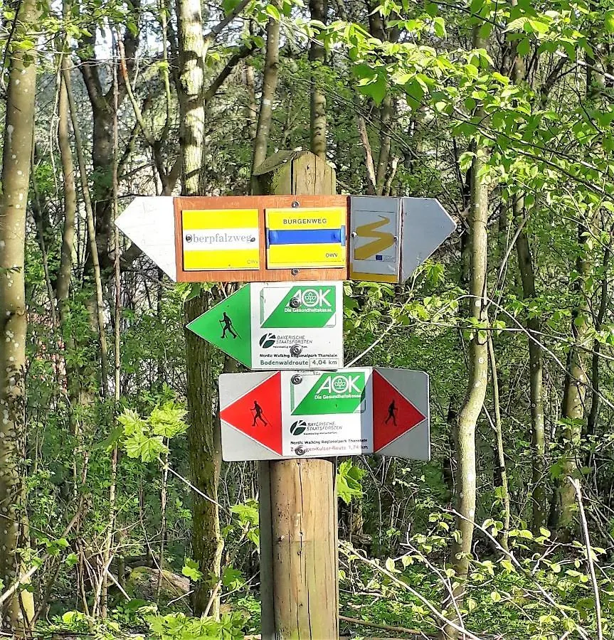 Lejlighed Ferienwohnung Traexler Thanstein Tyskland